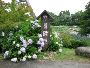 IMG_0038.JPG