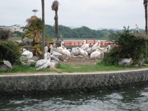 IMG_0053.JPG