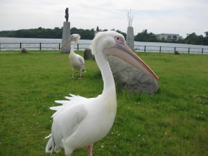 IMG_0068.JPG